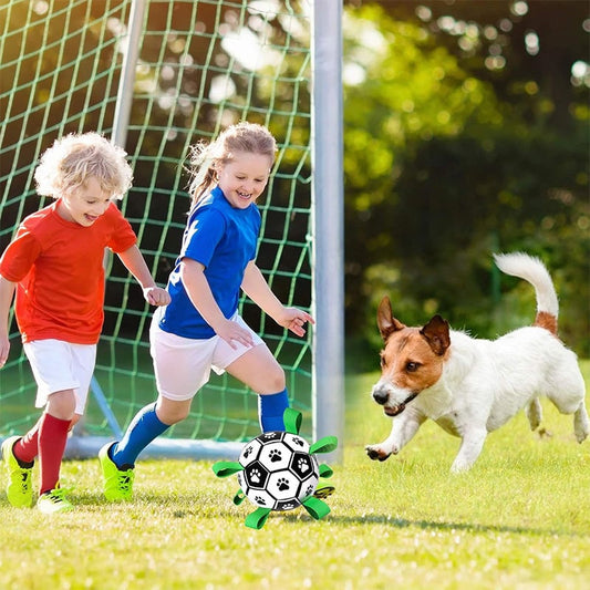 Multifunktionales interaktives Seil-Hundefußballspielzeug für draußen