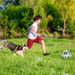 Multifunktionales interaktives Seil-Hundefußballspielzeug für draußen