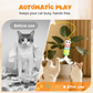 🐈 50% RABATT! 💡 Automatisches einziehbares Katzenspielzeug – Bewegungsaktiviert, interaktiv & fördert den Jagdinstinkt – perfekt für Stubentiger und Langeweile zu Hause 🎾