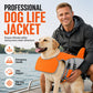 🐕🦺 Hunde-Schwimmweste mit abnehmbarem Frontschwimmer – 50% RABATT! Leuchtende Sicherheitsfarben, verstellbare Gurte, auftriebsstark – hält Ihren Hund sicher im Wasser. 🛡️💦