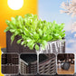 🌱 Gemüse-Anzuchtset für zu Hause – vielseitiger Pflanzkasten mit Bewässerungssystem, für Kräuter, Salat & Balkon