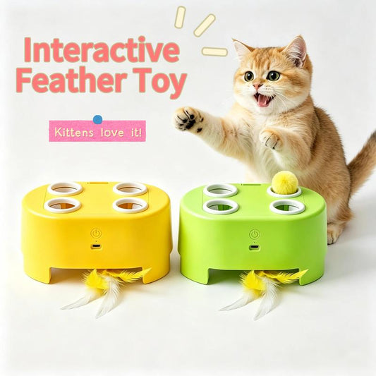 🐾💫 Interaktives Katzenspielzeug – 50% RABATT! Pop-up & rotierendes Doppelspiel, leiser Motor, bissfest – endloser Jagdspaß. 🎯