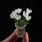 🌸✨ Miniatur-Glasblumen mit Vase – 50% RABATT! 7 farbige Glasblüten, 6cm Höhe, elegante Glaskunst – blüht für immer.